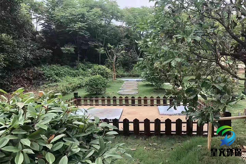 案例展示一